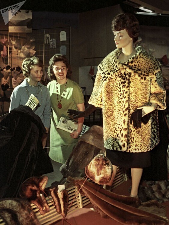 Шуба из овчины. Выставка российских производителей. Москва. Александр Невежин, РИА Новости, 1962 год