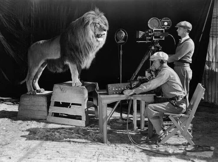 За кадром съемок легендарной заставки MGM