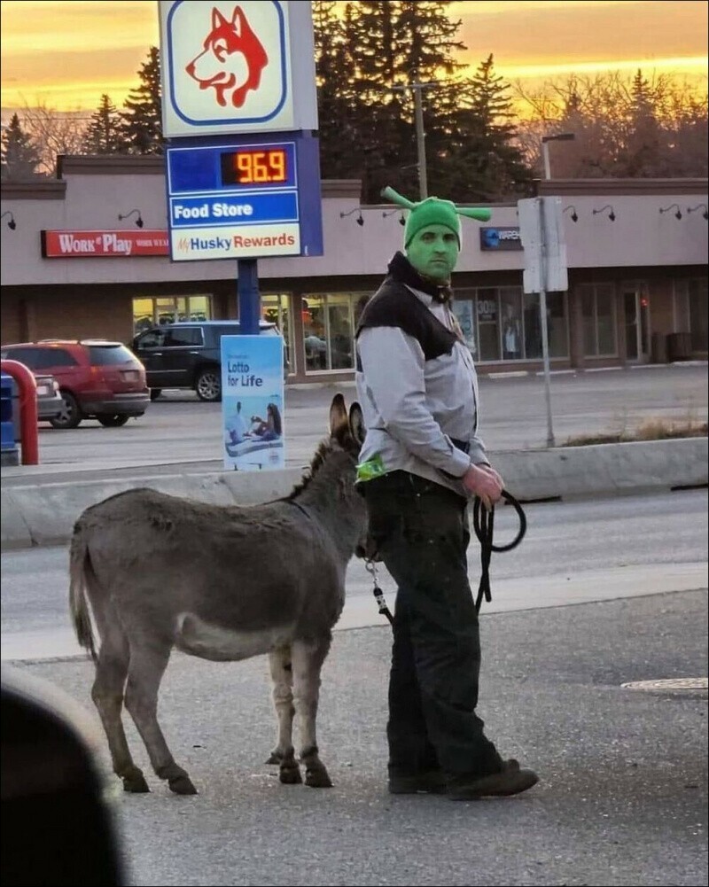 На позитиве