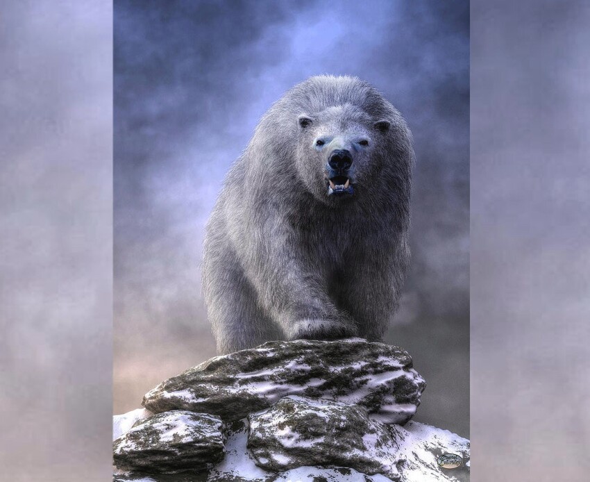 Гигантский белый медведь:  в 1.5 раза больше современного белого медведя