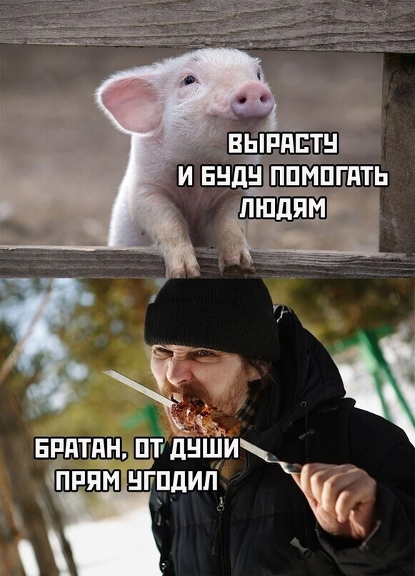 На общую тему