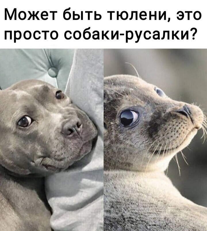 На общую тему