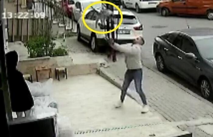 В Стамбуле мужчина поймал кошку, выпавшую из окна
