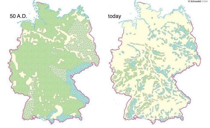 22. Леса в Германии: 50 год нашей эры по сравнению с сегодняшним днем