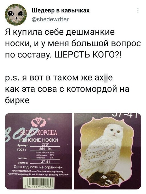 Смешные и познавательные картинки