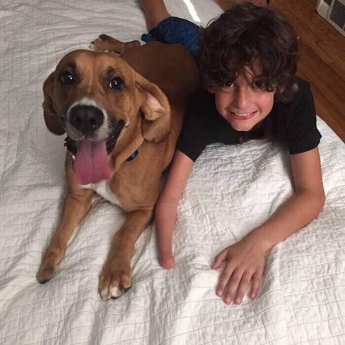 "Мы искали собаку для нашего 10-летнего сына, и вчера нашли идеального пса!"