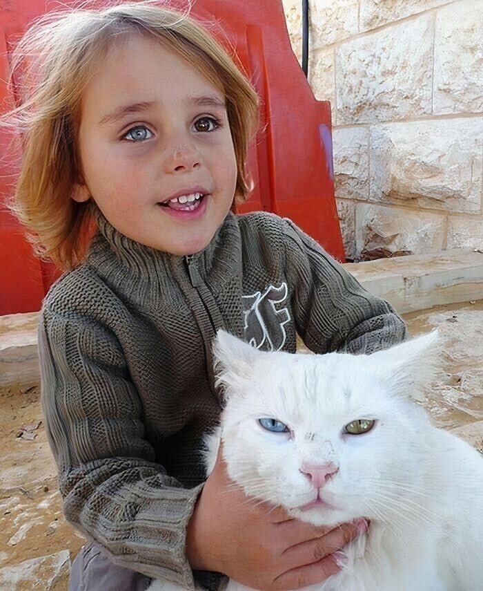Мальчик и кошка с гетерохромией (глазами разного цвета)