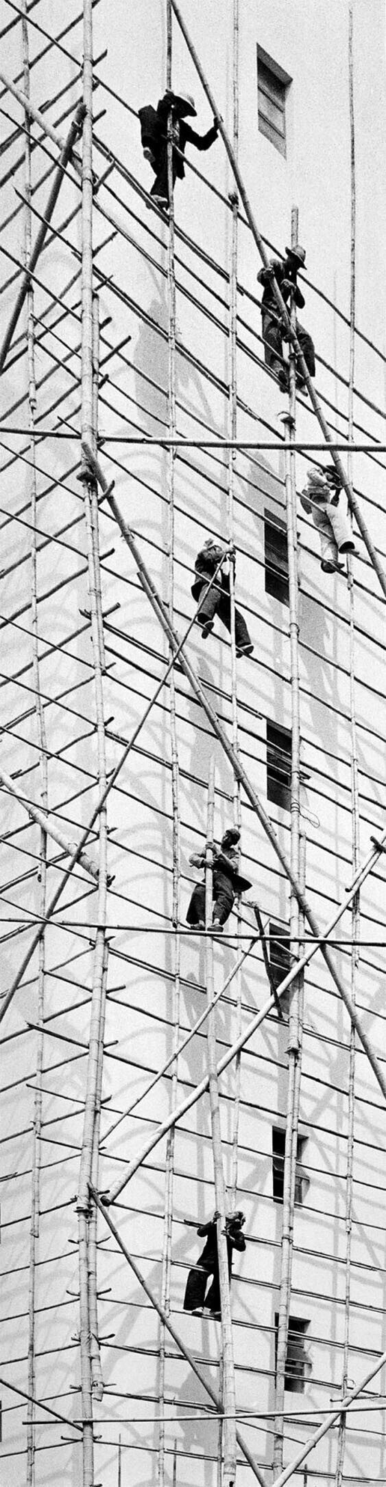 На этом фото рабочие ставят строительные леса для ремонта фасада высотного здания. Несущие столбы сделаны из бамбука. Гонконг. 1950-е годы. Фотограф Фан Хо