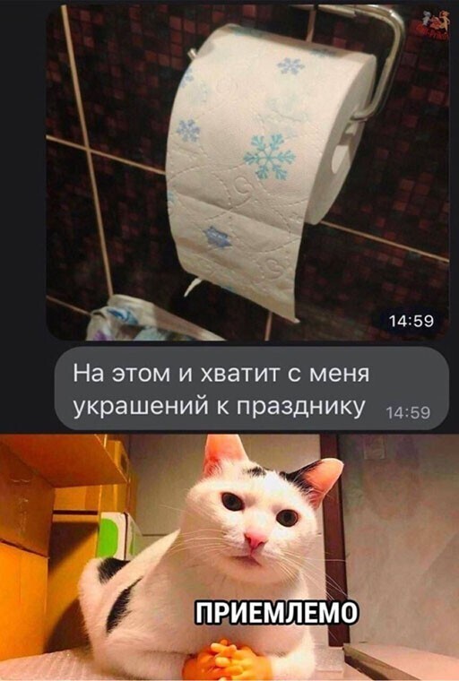 Смешные и познавательные картинки