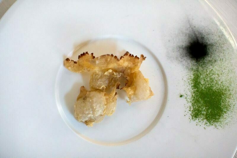 На вкус как море: зачем итальянские повара пытаются приготовить медуз