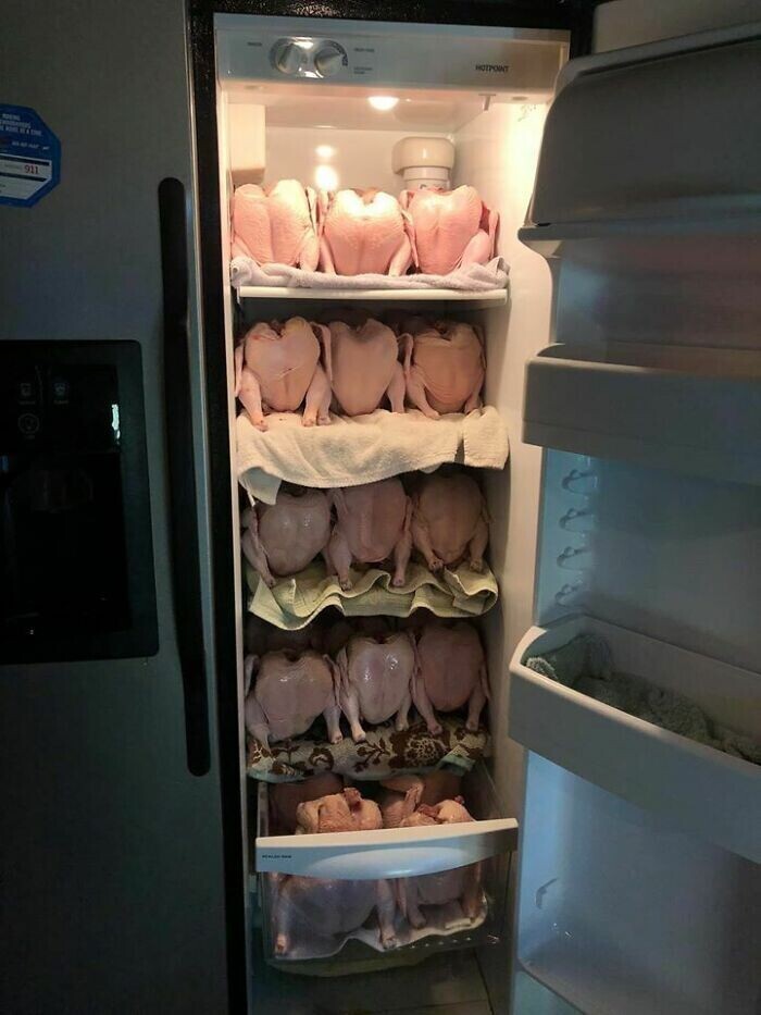 Холодильник с курочками