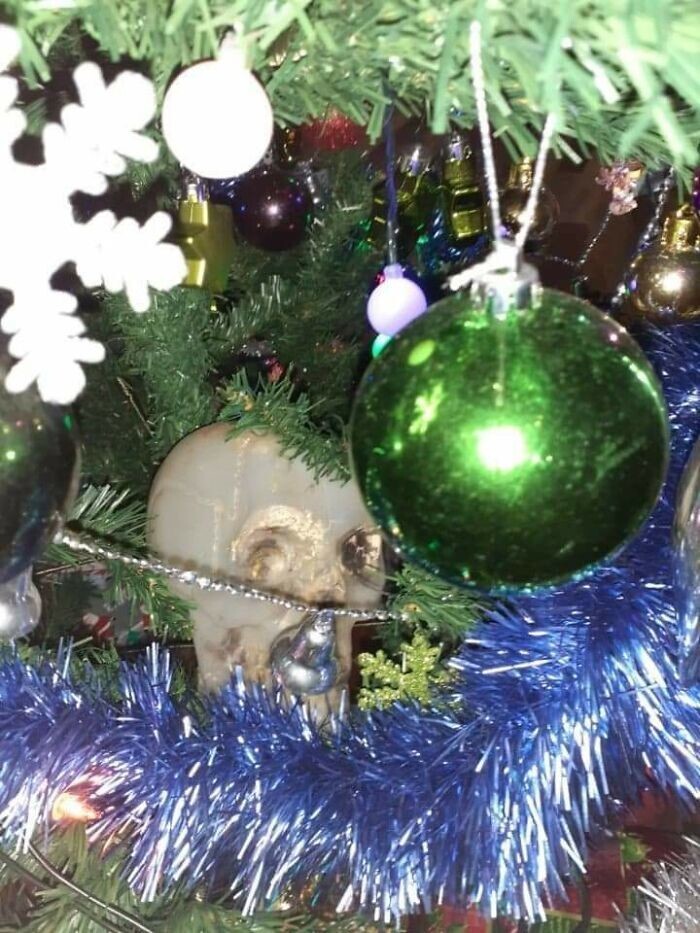 3. "Это Кит, праздничный череп. Раньше его вешали на верхушку, но теперь мы прячем его среди нижних веток, чтобы напугать детей"