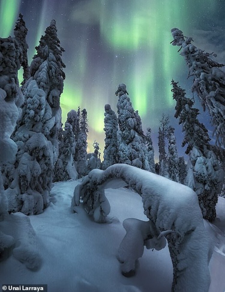 Фото сделано в заснеженном национальном парке Рииситунтури в Лапландии, Финляндия. Фотограф Unai Larraya