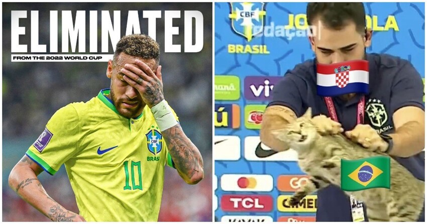 Проклятие кота сработало на Бразильской сборной