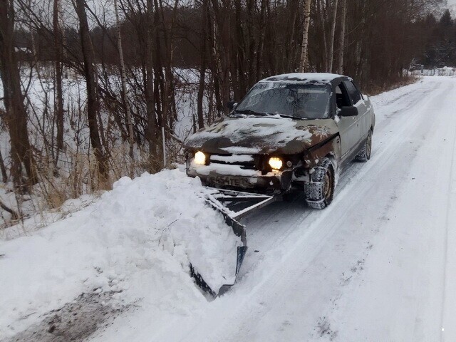 Автовсячина