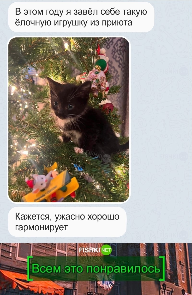 Милота дня