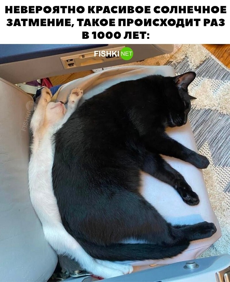 Красивое