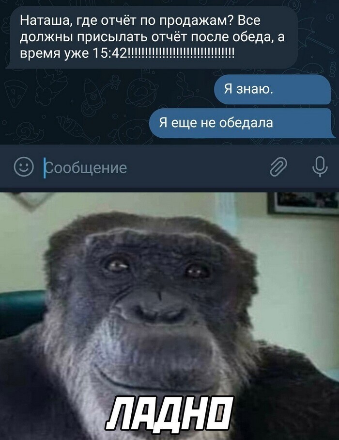 Скрины из соцсетей