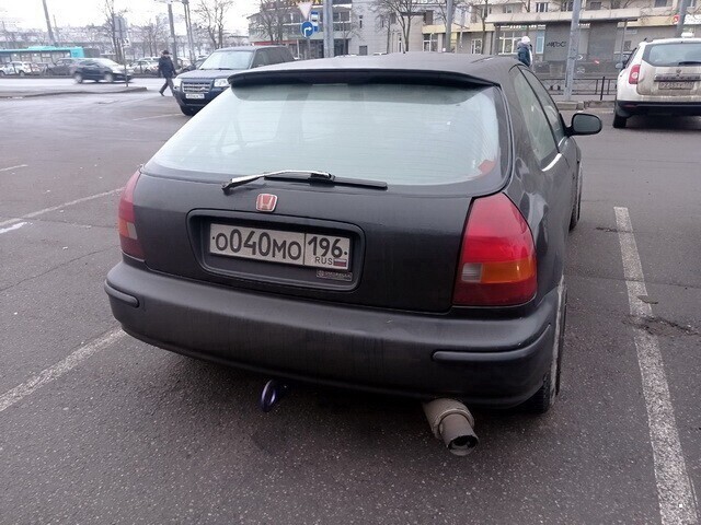 Автовсячина