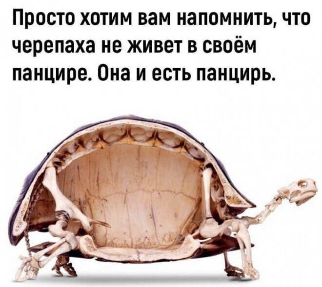 Не ищите здесь смысл. Здесь в основном маразм от АРОН за 14 декабря 2022