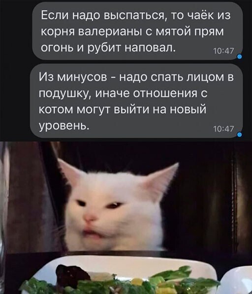 Смешные и познавательные картинки