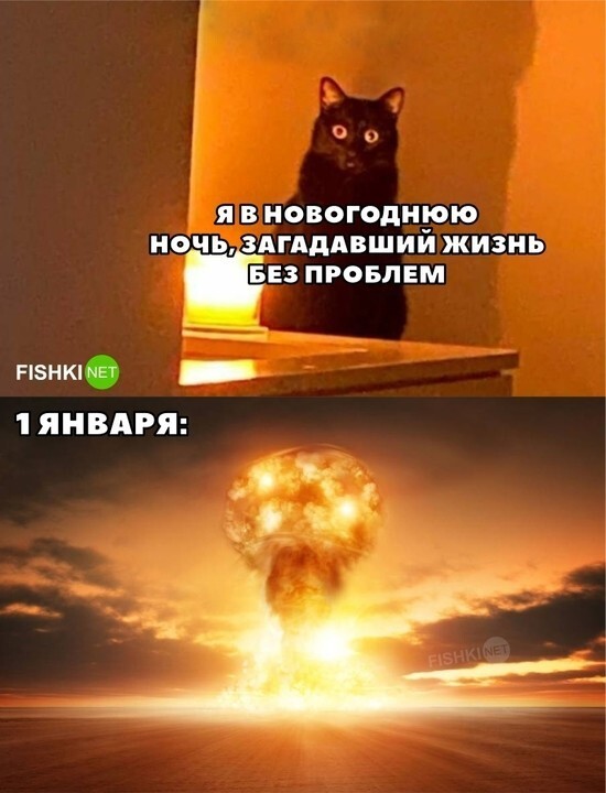 Жизнь без проблем