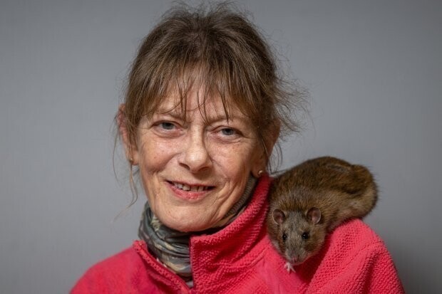 Домашняя крыса спасла жизнь хозяйке