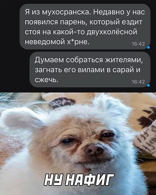 Смешные и познавательные картинки