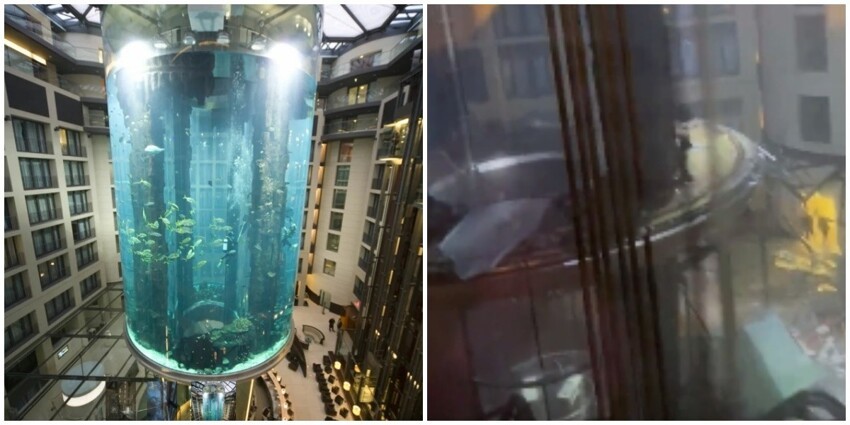 В Берлине лопнул самый большой в мире цилиндрический аквариум на 1 млн литров воды
