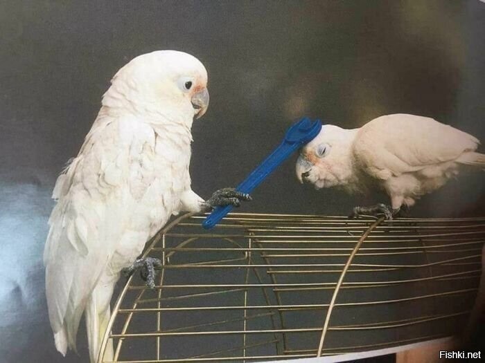 Кстати