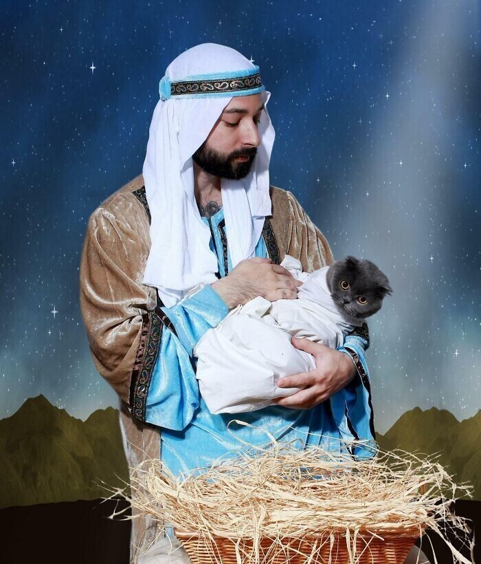 "Некоторые люди сочли рождественскую открытку «Я и мой кот» кощунственной. Почему бы?"