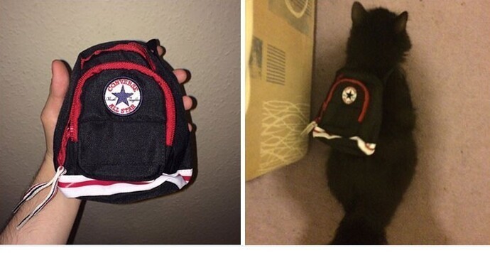 Рюкзак для путешествий, но только не для кота