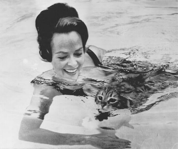 7. Джун Локхарт плавает со своим котом Джорджем, 1963 год