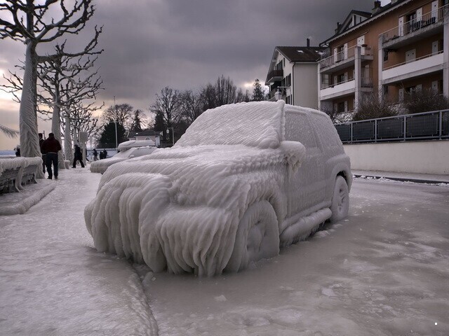 Автовсячина