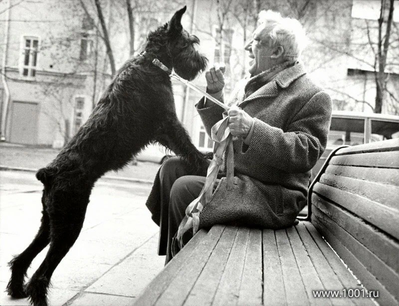 Сегодня, 18 декабря легендарному артисту Юрию Никулину исполнился бы 101 год