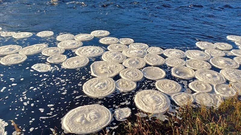 Потрясающие «ледяные блины» кружатся на поверхности шотландской реки