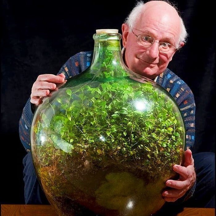 3. В 1960 году Дэвид Латимер посадил крошечный сад внутри большой стеклянной бутылки и запечатал ее.