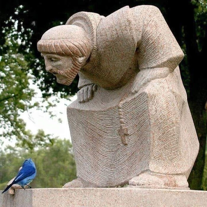 13. Живая синяя птица рядом с каменной общается со Святым Франциском