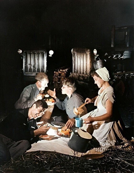 «Романтики на целине», 1954 год