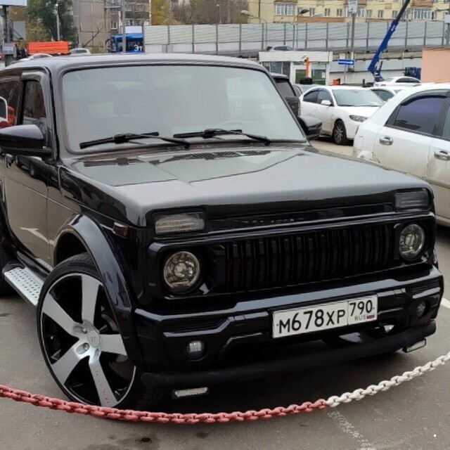 Автовсячина