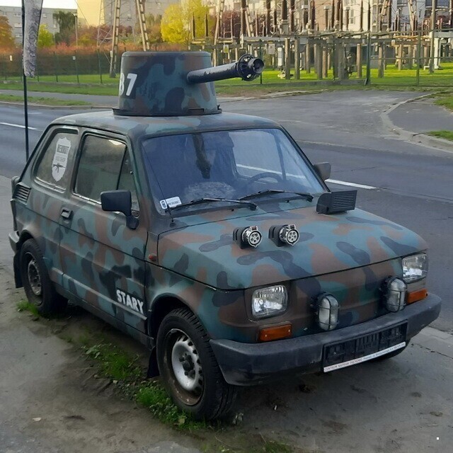 Автовсячина