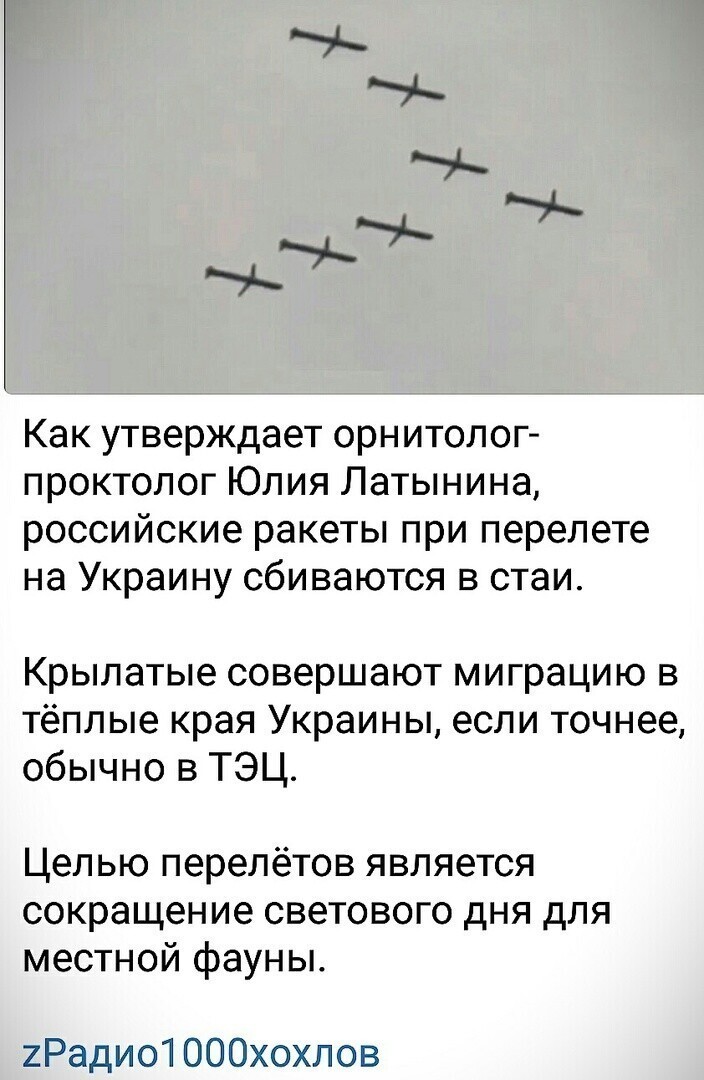 О политике и не только