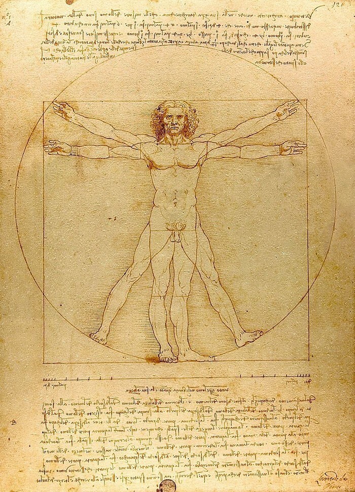 24. Микеланджело и Леонардо да Винчи навсегда изменили то, как изображаются человеческие тела на картинах