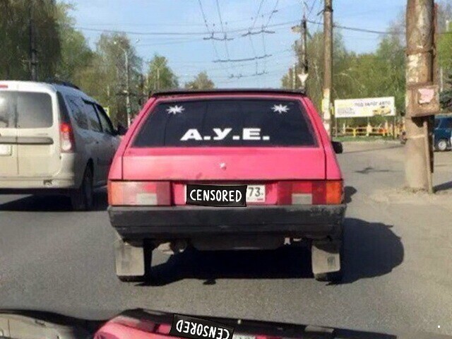 Автовсячина