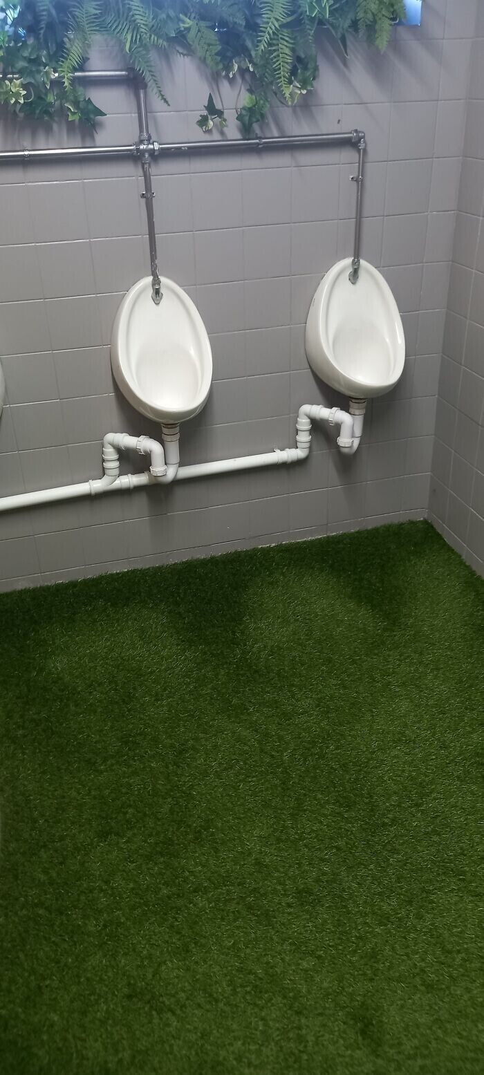 6. "Кто решил, что постелить в общественном туалете "искусственный газон" - хорошая идея? Запах сшибает с ног"