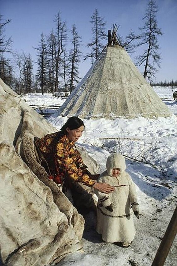 Оленеводы вблизи Салехарда, Ямало-Ненецкий округ