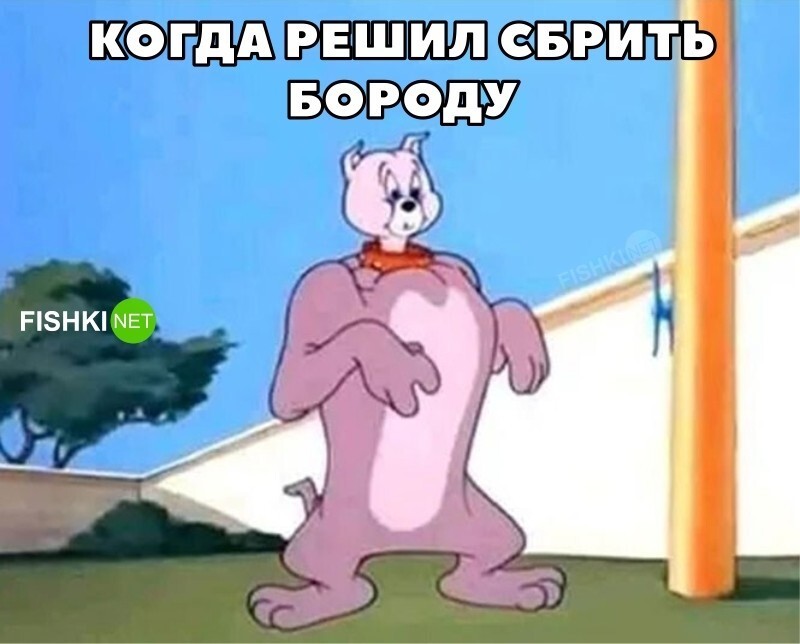 Смешные и познавательные картинки