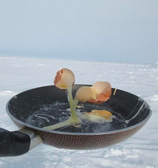 Попытка приготовить яичницу в Антарктиде