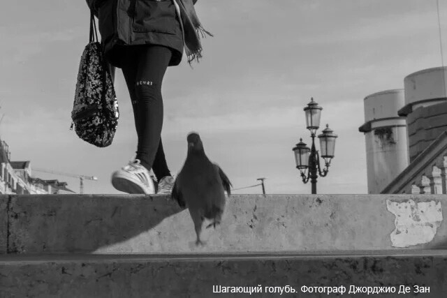 Уличное фото