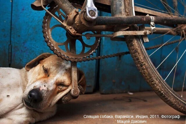 Уличное фото